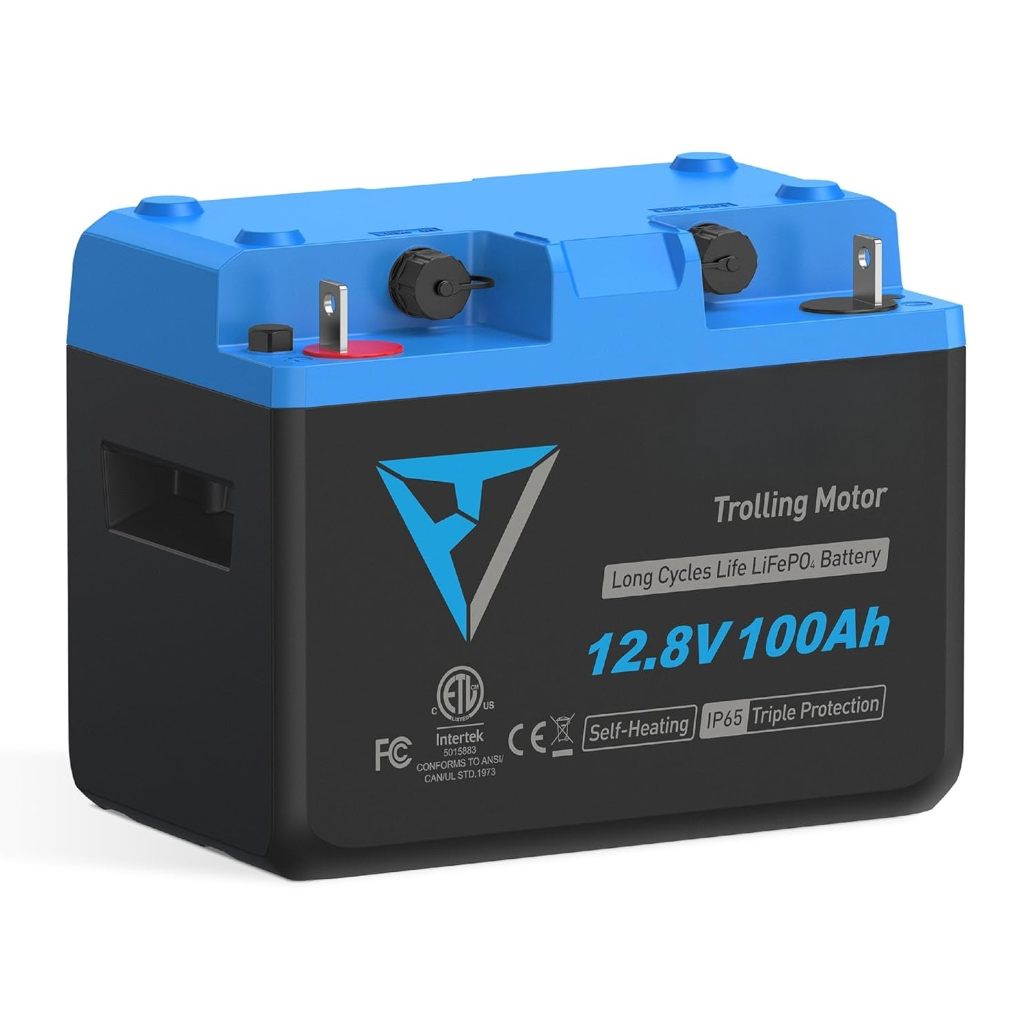 12.8V 100Ah LiFePO4 Lithium Ba - Lithium Battery 100Ah ulasan dan harga