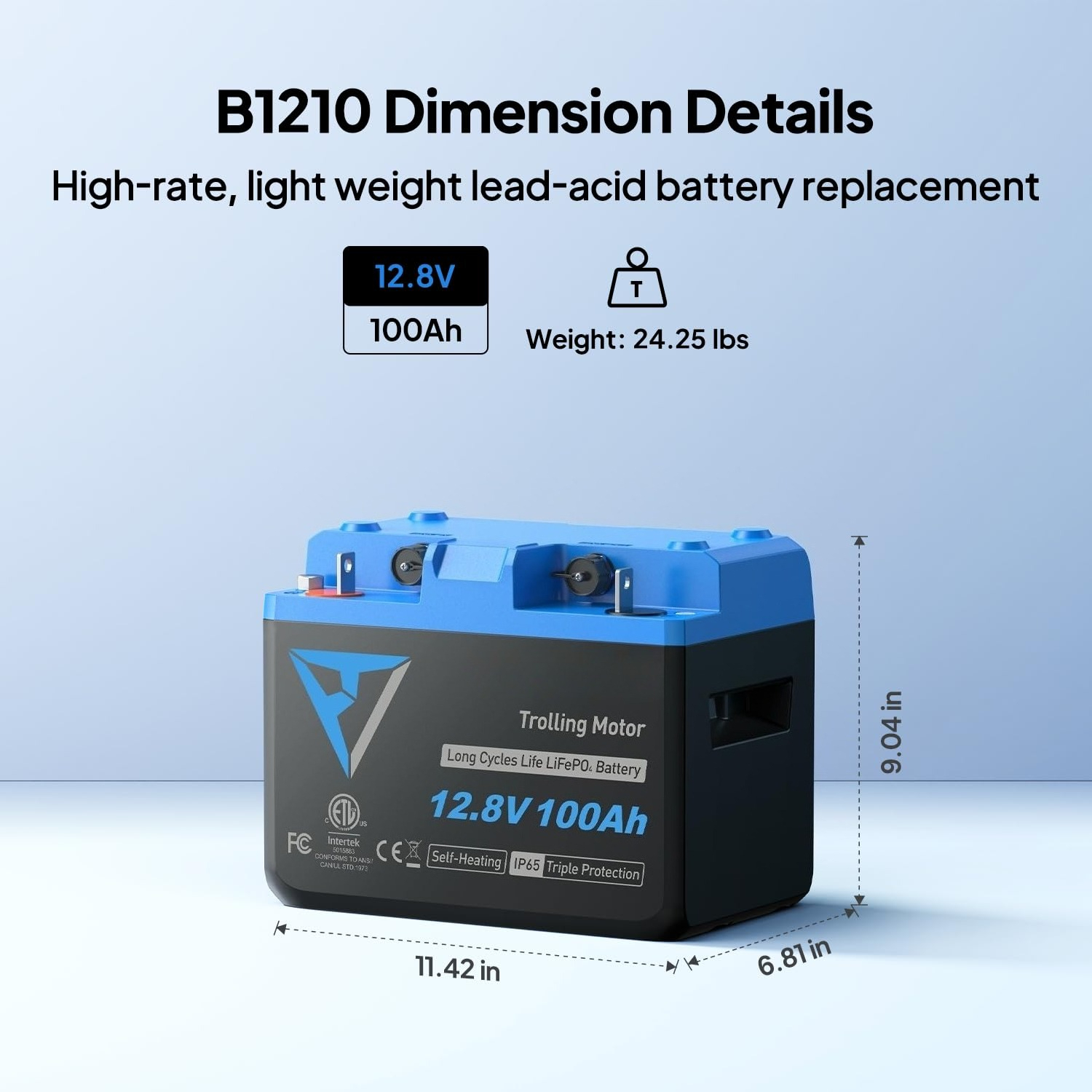 12.8V 100Ah LiFePO4 Lithium Ba - Lithium Battery 100Ah ulasan dan harga